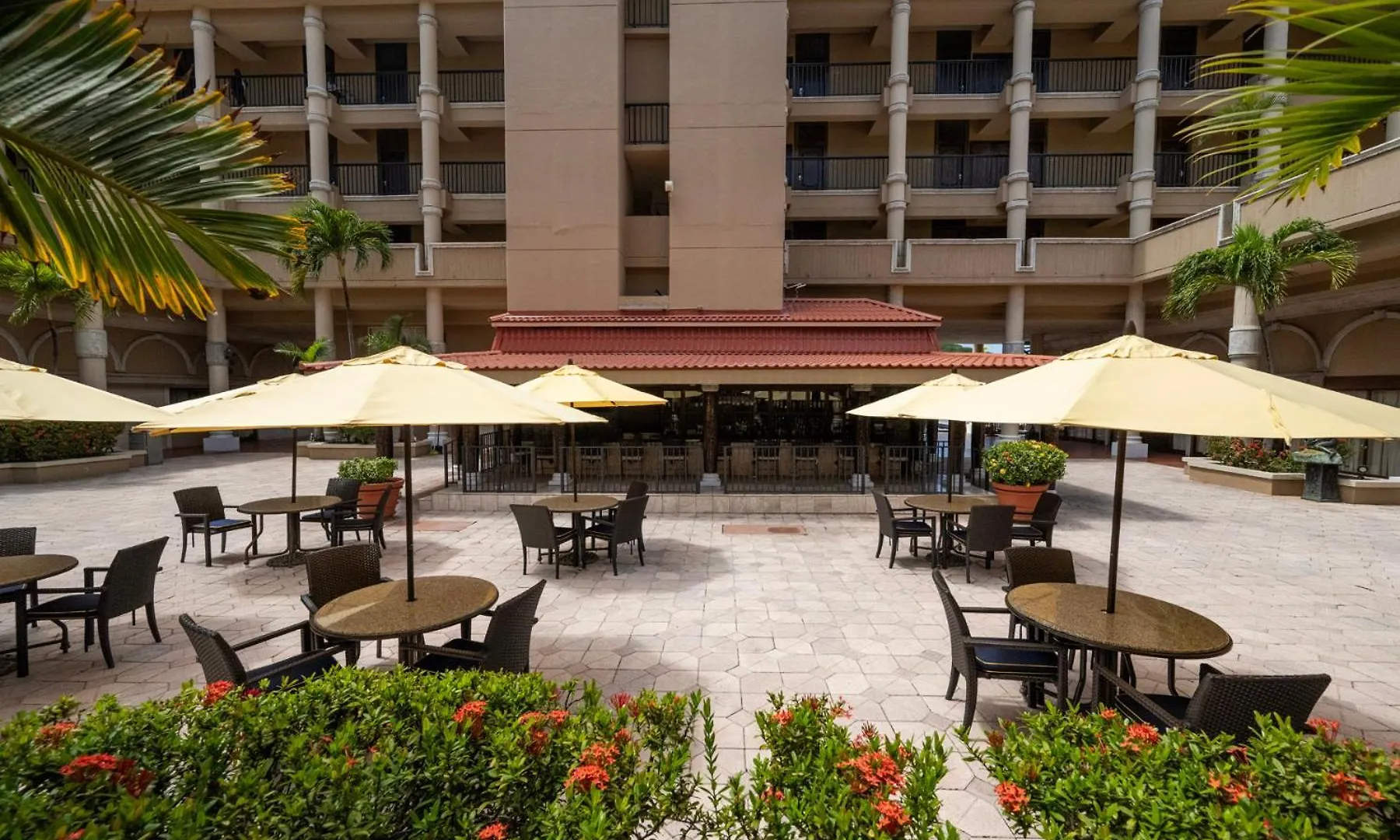 שארלוט אמלי Windward Passage Hotel